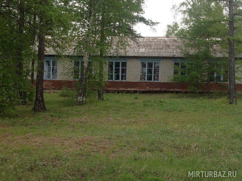 Багульник, Забайкальский край: фото 2