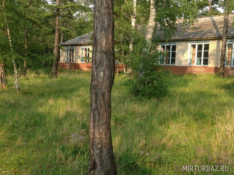 Багульник, Забайкальский край: фото 3