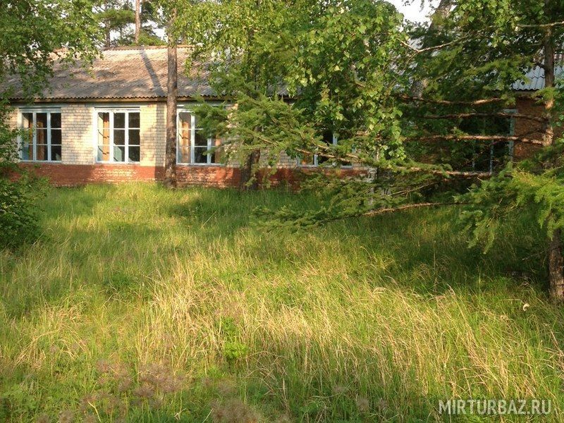 Багульник, Забайкальский край: фото 4