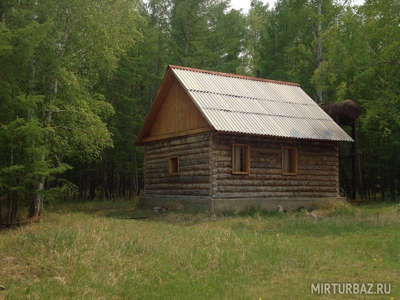 Багульник, Забайкальский край: фото 5