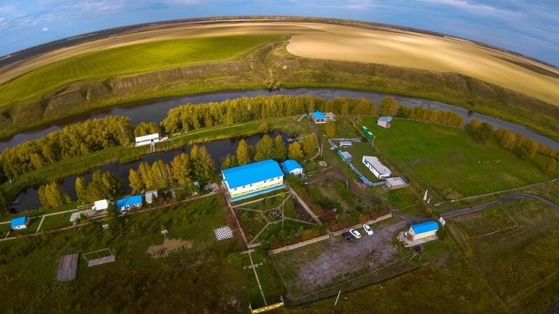 Подсолнухи, Омская область: фото 2