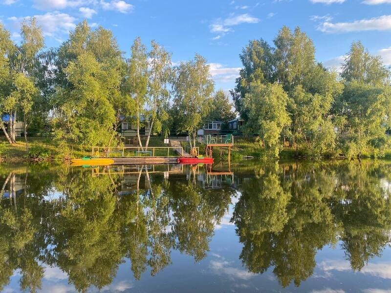 Подсолнухи, Омская область: фото 3