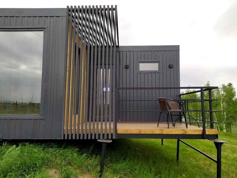 Подсолнухи, Омская область: фото 5