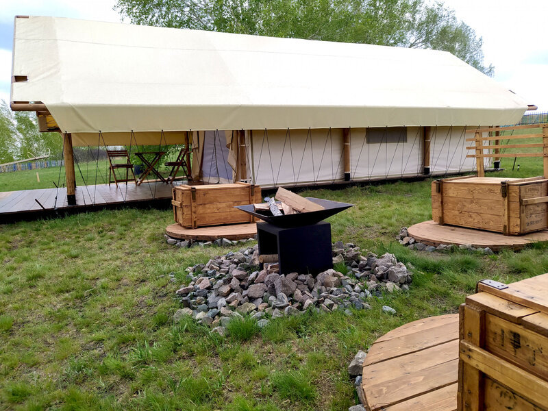 Подсолнухи, Омская область: фото 4