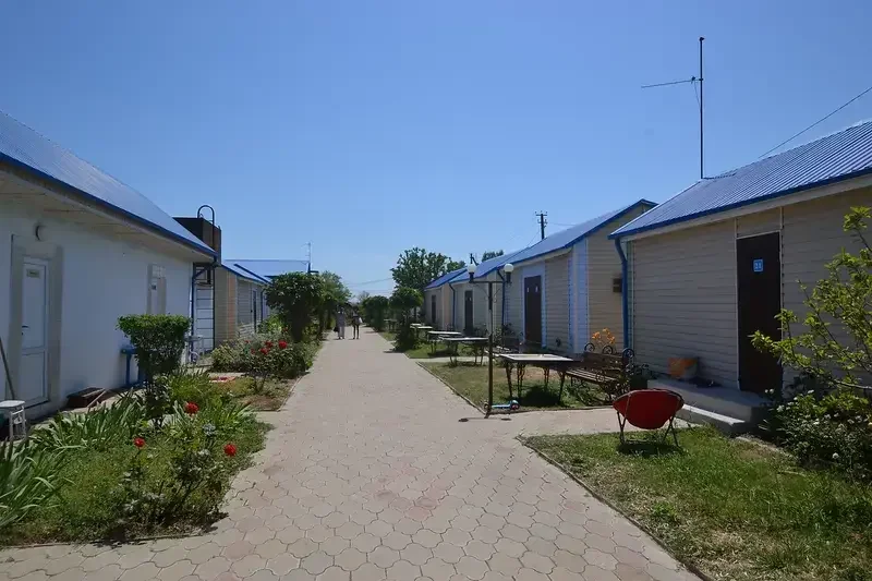 Дельфин, Краснодарский край: фото 3