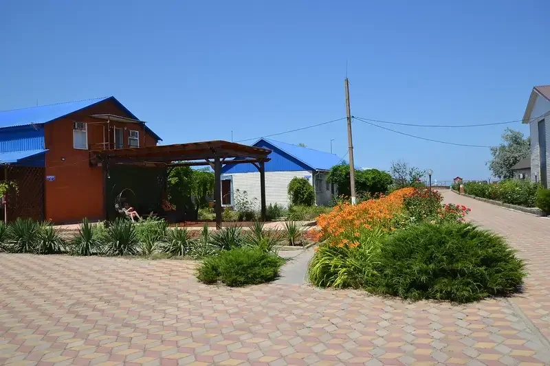 Дельфин, Краснодарский край: фото 5