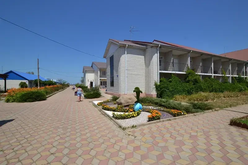 Дельфин, Краснодарский край: фото 4