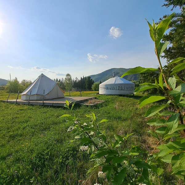 Кемпинг Кедровая Сова, Республика Хакасия, Орджоникидзевское село Приисковое