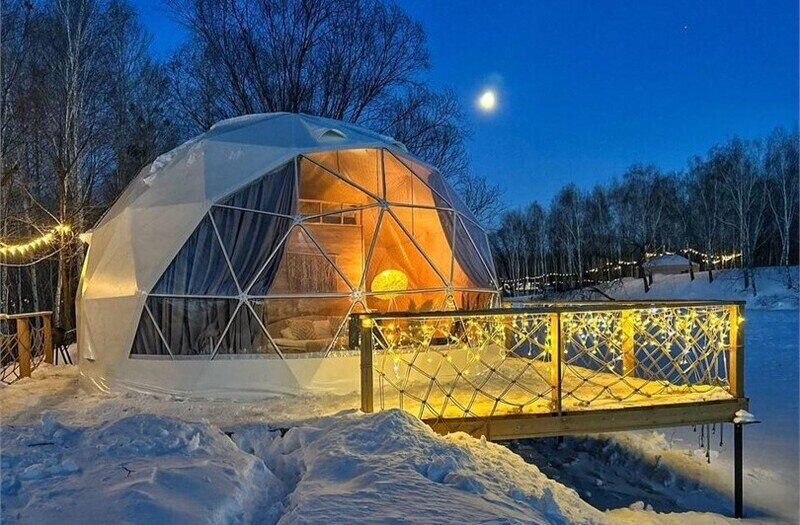 Шатер Аралия