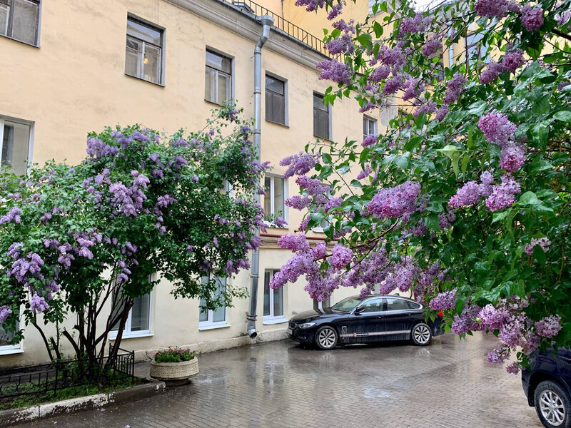 Гостевой дом На Речке, Санкт-Петербург, Ленинградская область