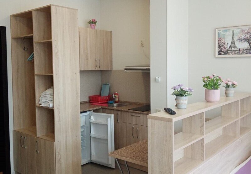 Студия 4-местный №55 (корпус 2)