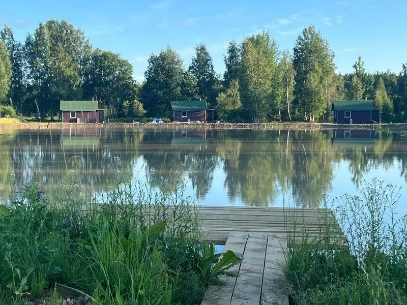 Рыболовная база Сarp.house, Выборгский район, Ленинградская область