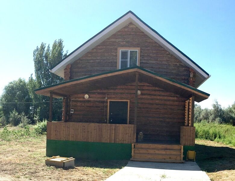 Лебедь, Астраханская область: фото 5