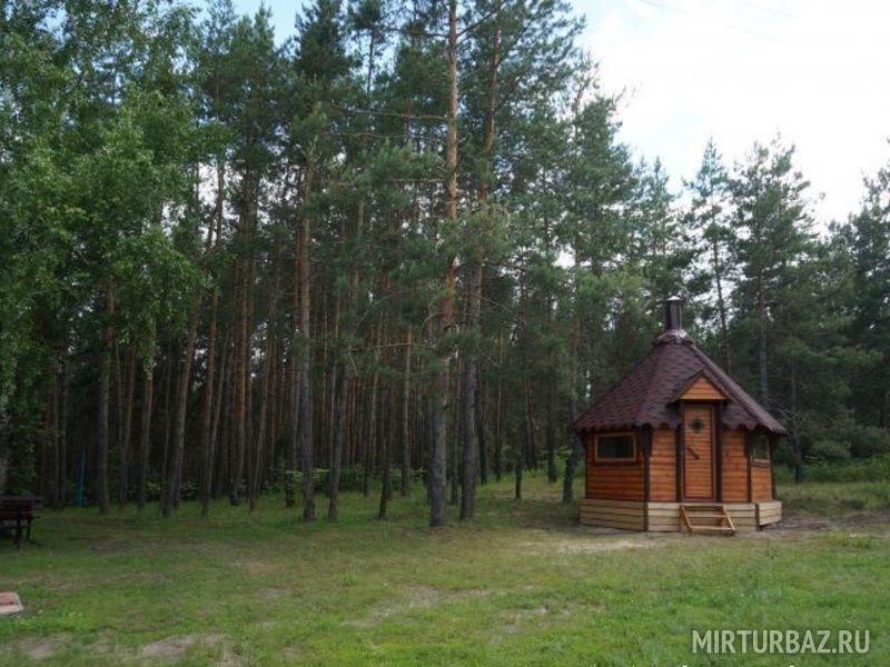 Черкасский затон, Воронежская область: фото 3