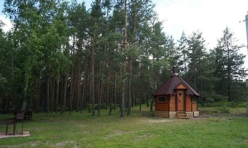 Черкасский затон, Воронежская область: фото 3