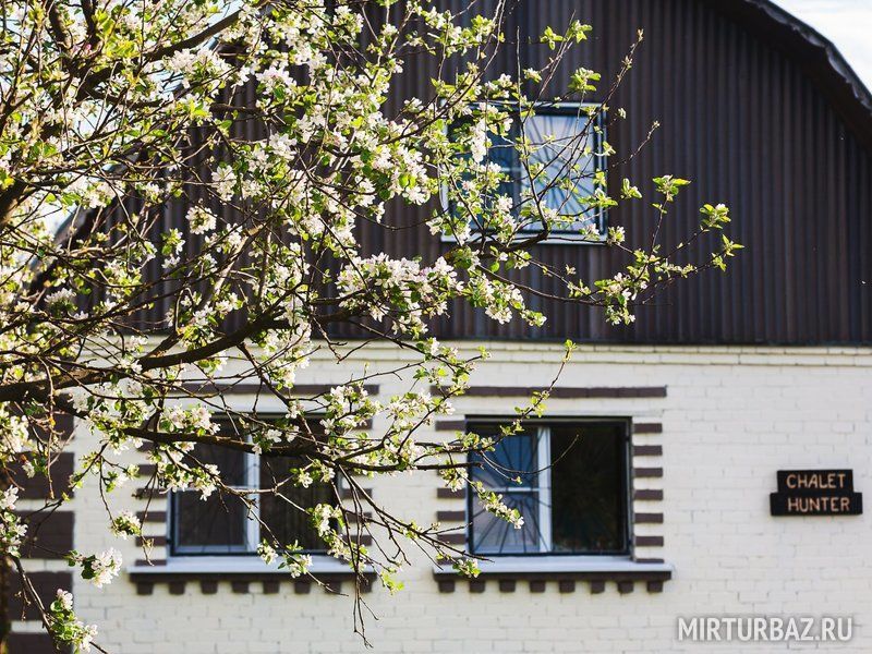 Chalet Hunter, Курская область: фото 3