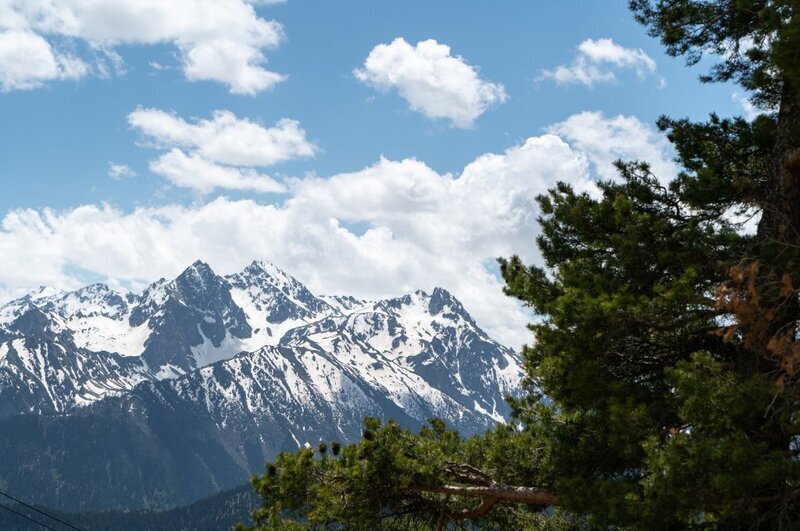 Baza les, Республика Карачаево-Черкесия: фото 3