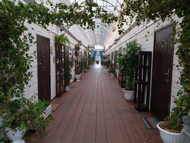 Морская корова, Приморский край: фото 5