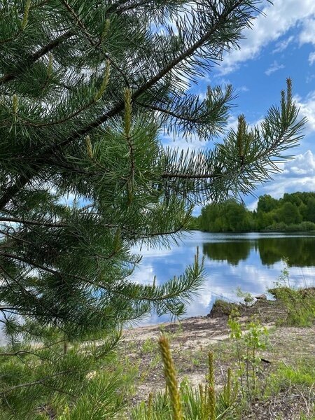 Эко-кемп Водлозерье, Республика Карелия: фото 3