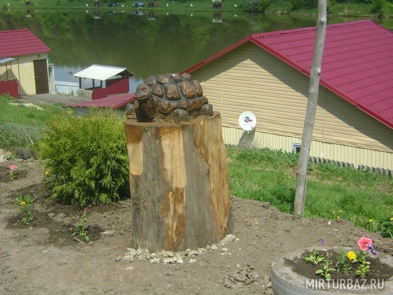 База отдыха в деревне Троица, Курская область: фото 3