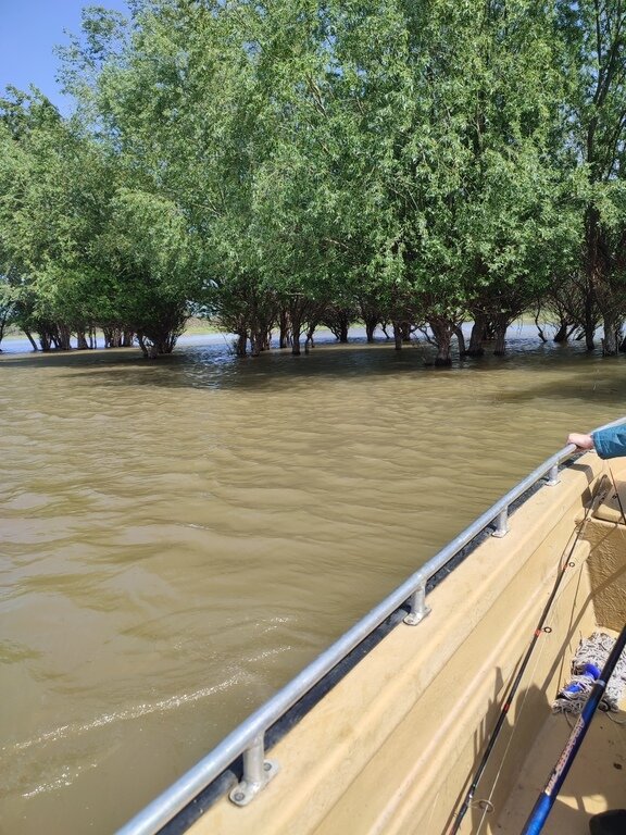 Фото из отзыва от 26.04.2024