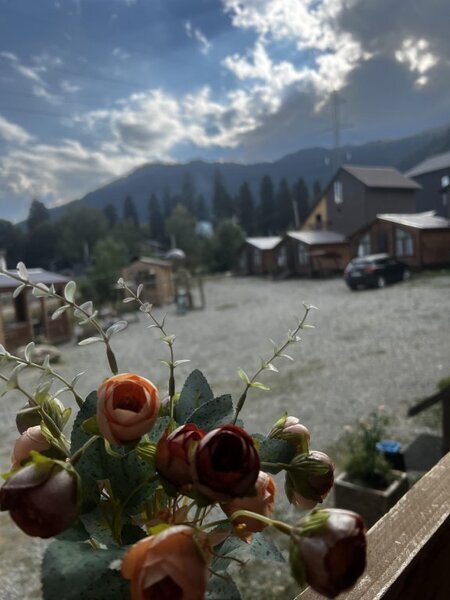 Дикая Груша, Республика Карачаево-Черкесия: фото 3