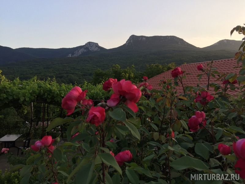 Райский Сад, Крым: фото 5