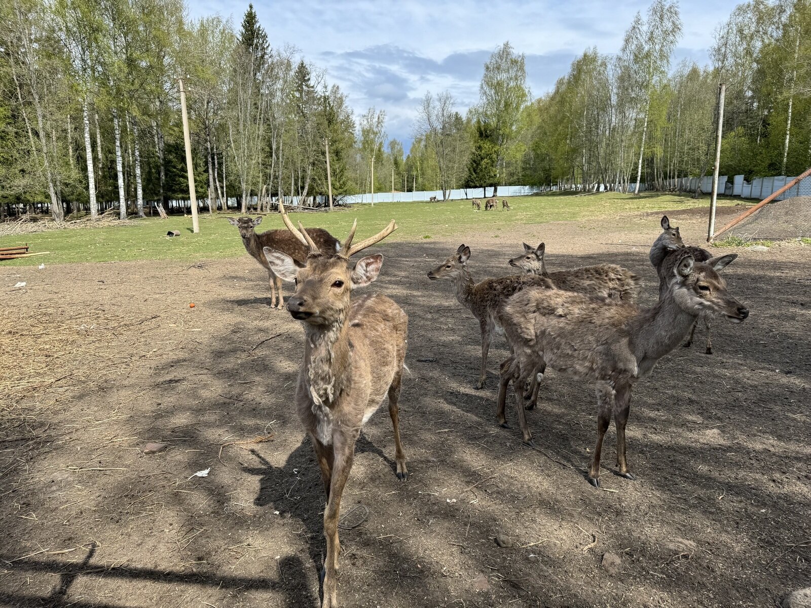 Фото 14 из отзыва о рыболовно-охотничьей базе Ухра