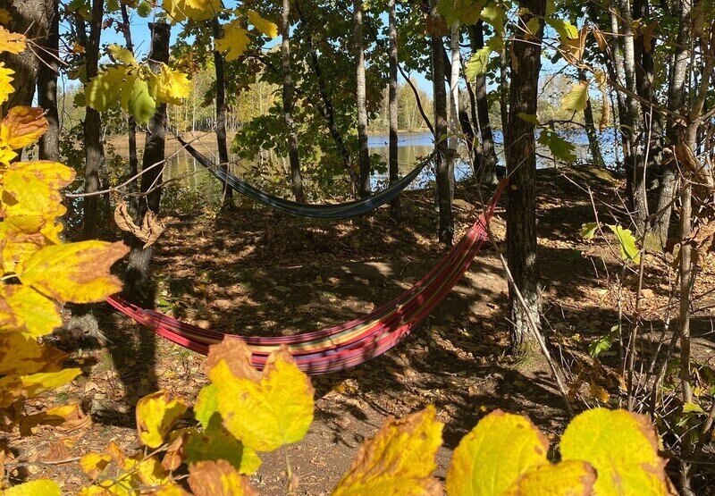 Территория | Кочевник, Еврейская автономная область