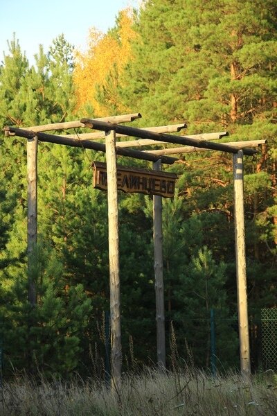Усадьба Пчелинцево, Рязанская область: фото 4