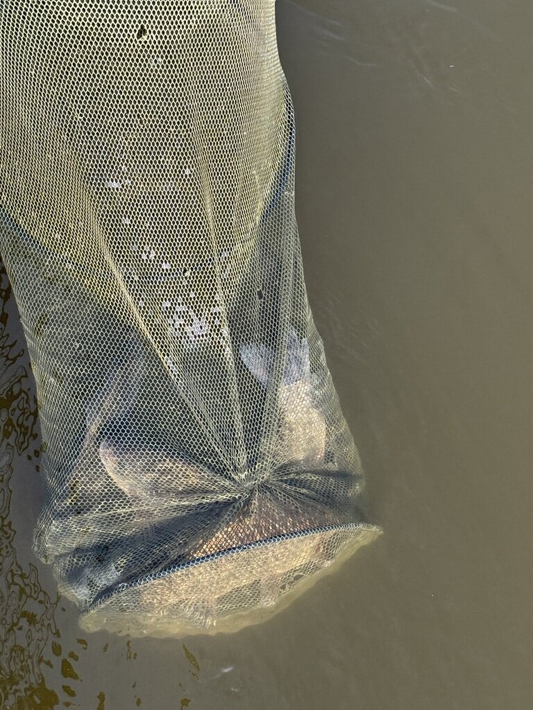 Фото из отзыва от 14.05.2024