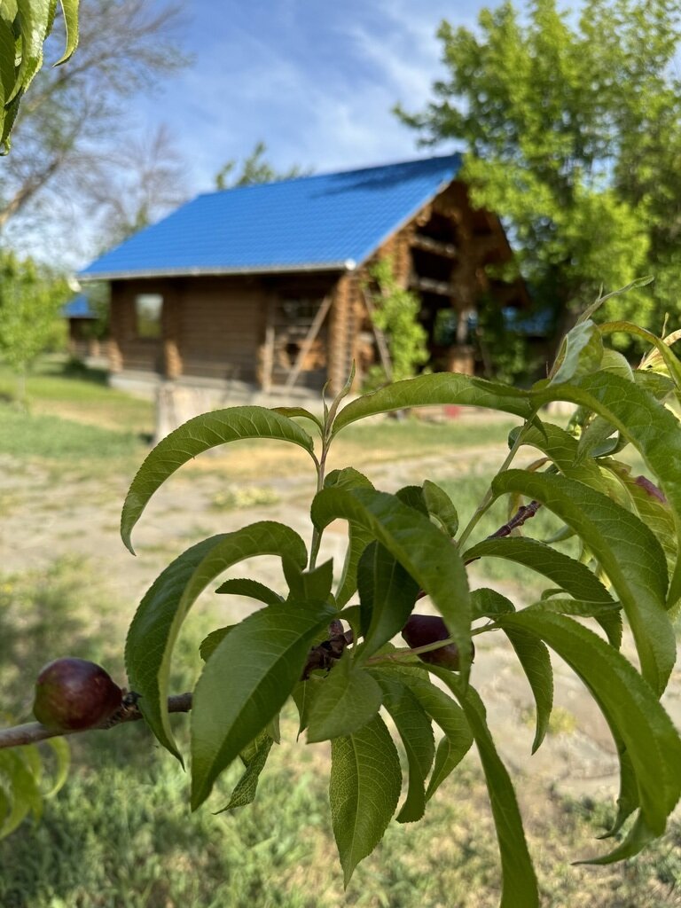 Фото из отзыва от 14.05.2024