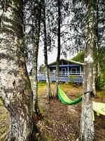 Фиалковый дом, Гостевой дом Mikli Home, Микли