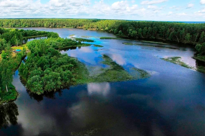 На Чеснаве, Ярославская область: фото 4