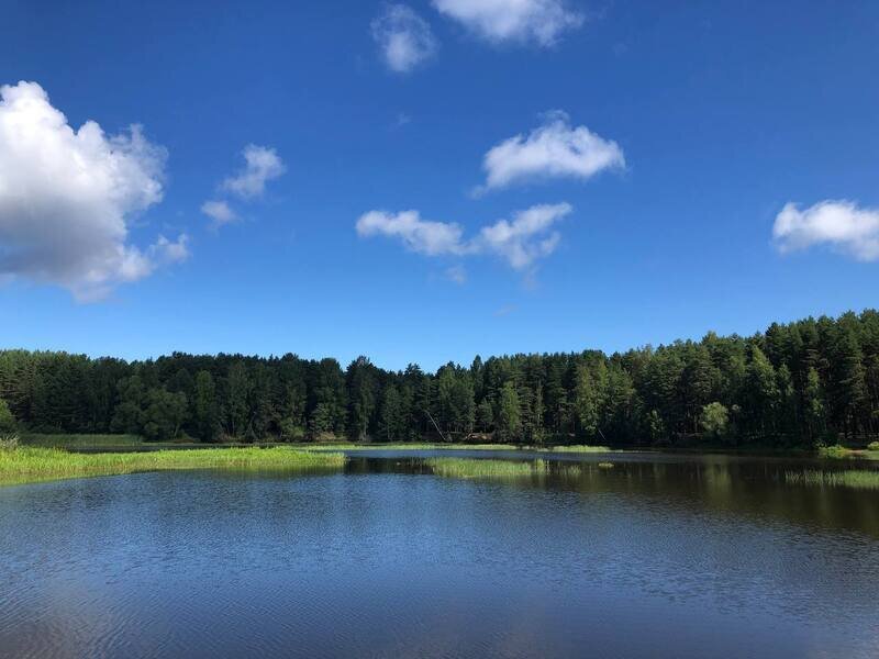 На Чеснаве, Ярославская область: фото 2