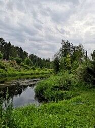 Рыбалка на реке Оредеж