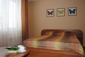 Номер двухместный, База отдыха Тонус, Набережные Челны