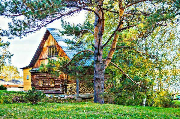 Асташево, Костромская область: фото 2