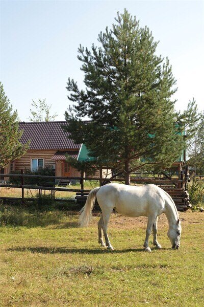 Дикий Рай, Свердловская область: фото 4