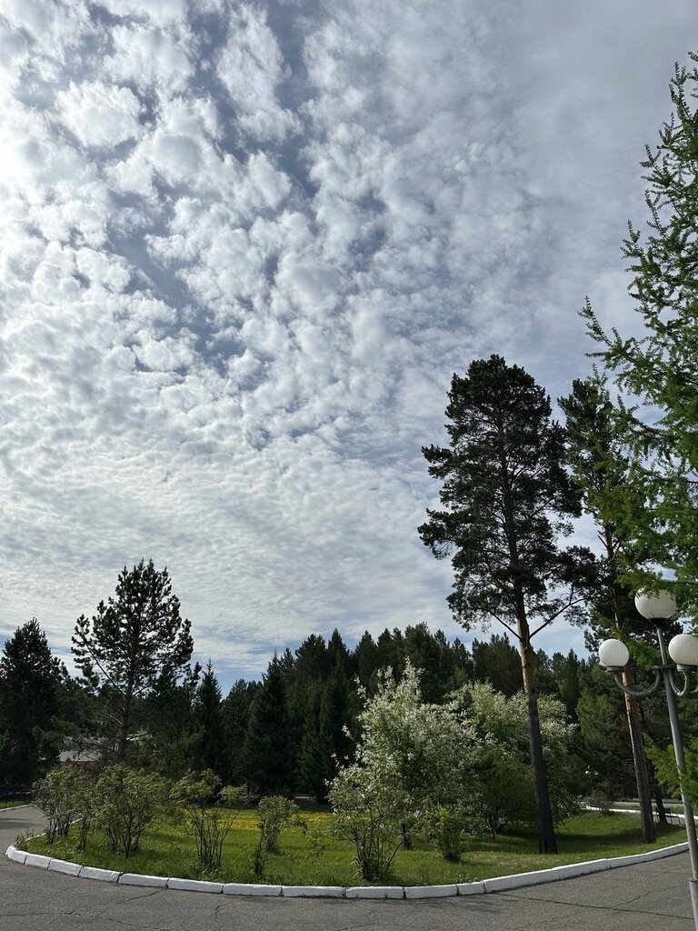 Фото из отзыва от 24.05.2024