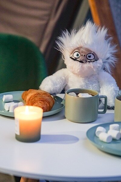 Дом 2-местный «Объятия Йети»