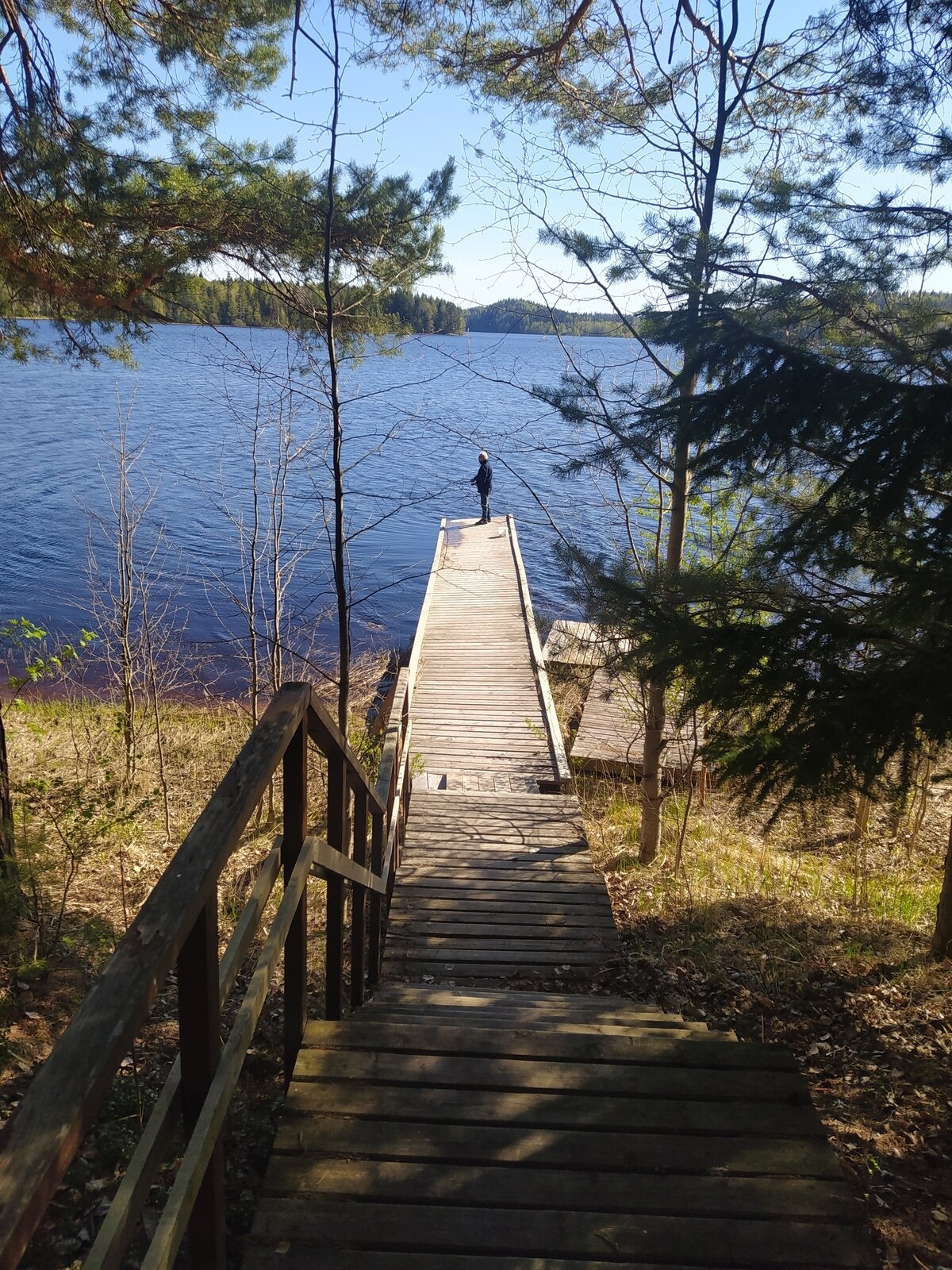 Фото 11 из отзыва о лесном отеле Янисъярви