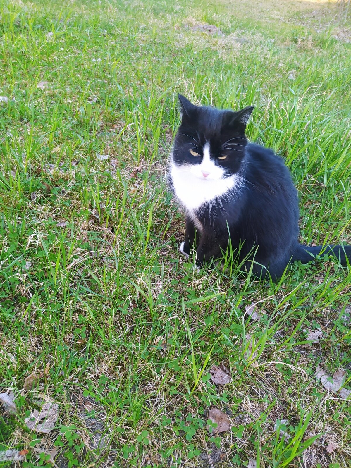 Фото 5 из отзыва о лесном отеле Янисъярви