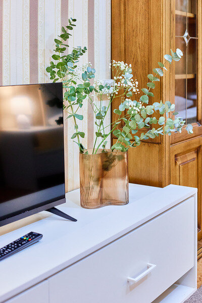 Эконом 2-местный