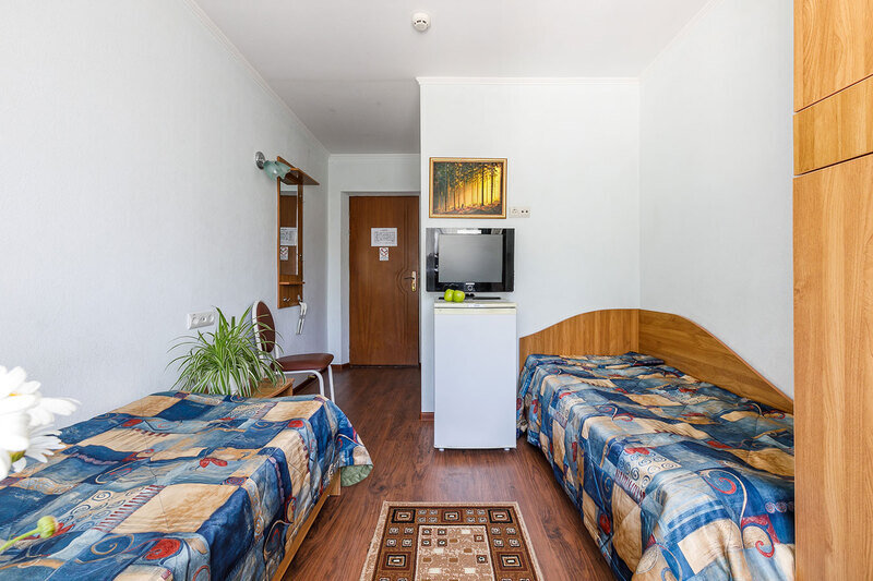 Стандартный 2-местный (вид на горы)