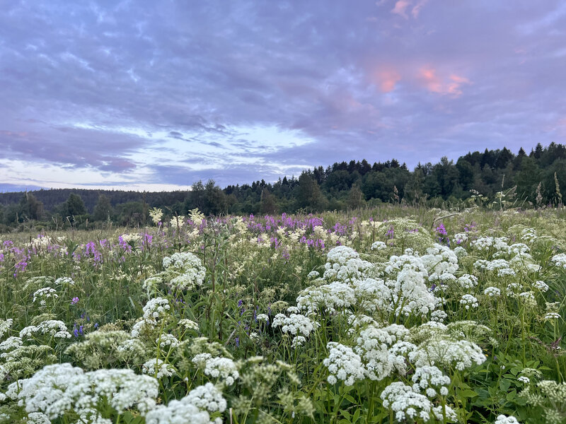 Ладога Рядом, Республика Карелия: фото 3