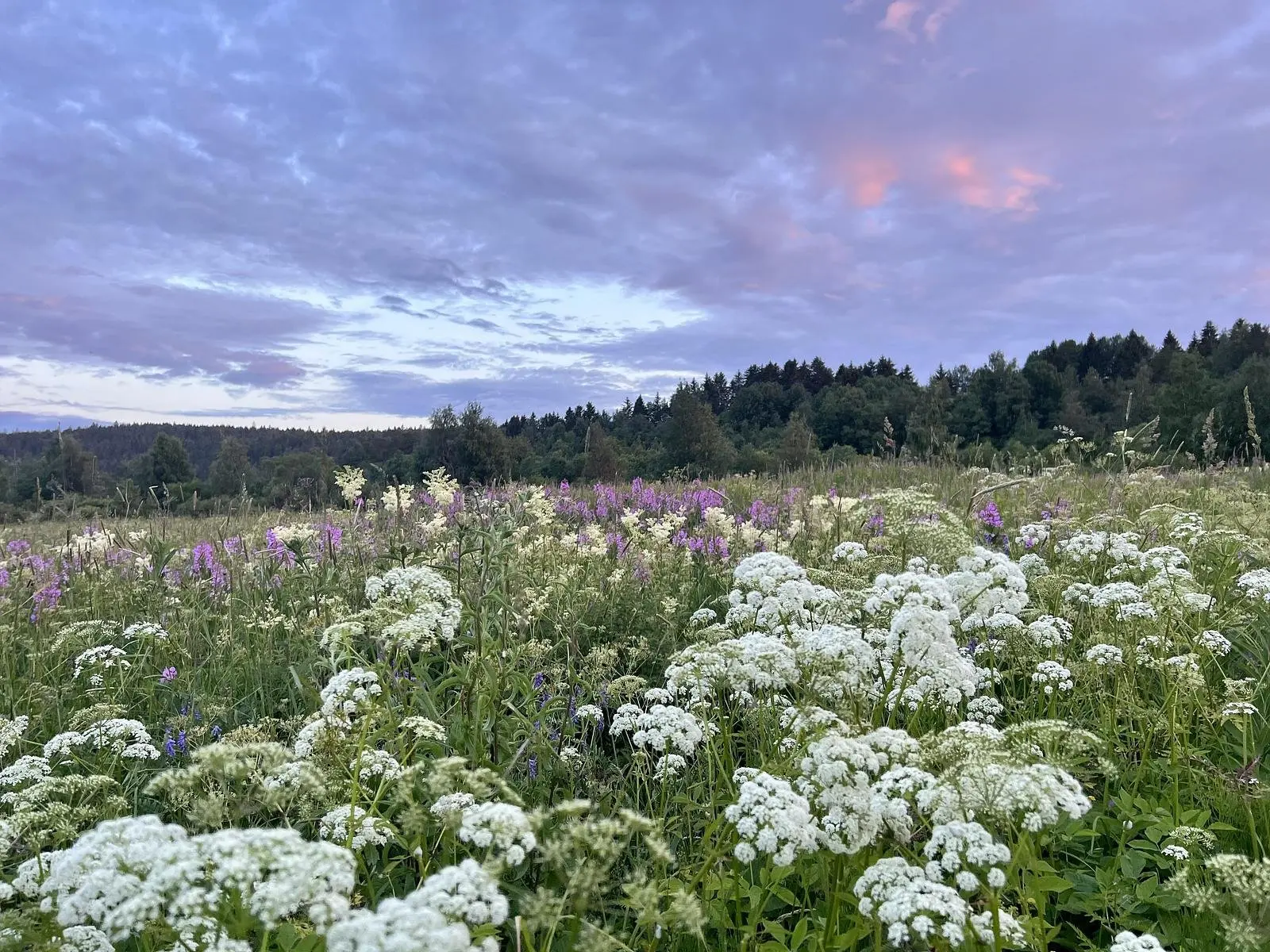 Ладога Рядом, Республика Карелия: фото 3