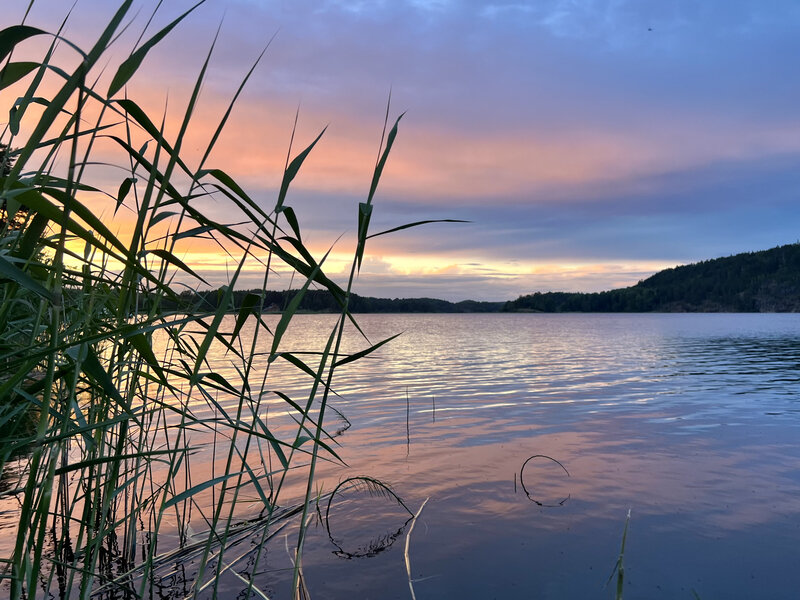 Ладога Рядом, Республика Карелия: фото 4