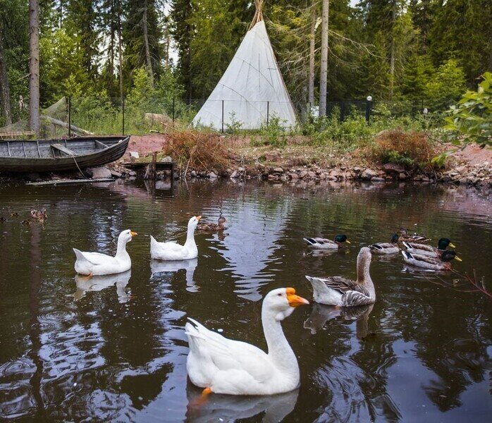 Вепсский Хутор, Республика Карелия: фото 3