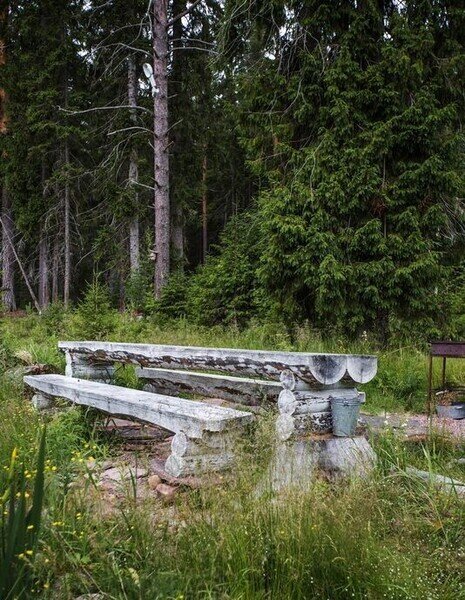 Вепсский Хутор, Республика Карелия: фото 5